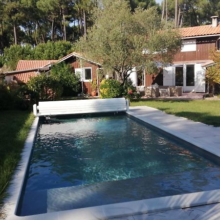 Maison Familiale En Bois Avec Piscine, Proche Du Bassin Гужан-Местрас Екстериор снимка