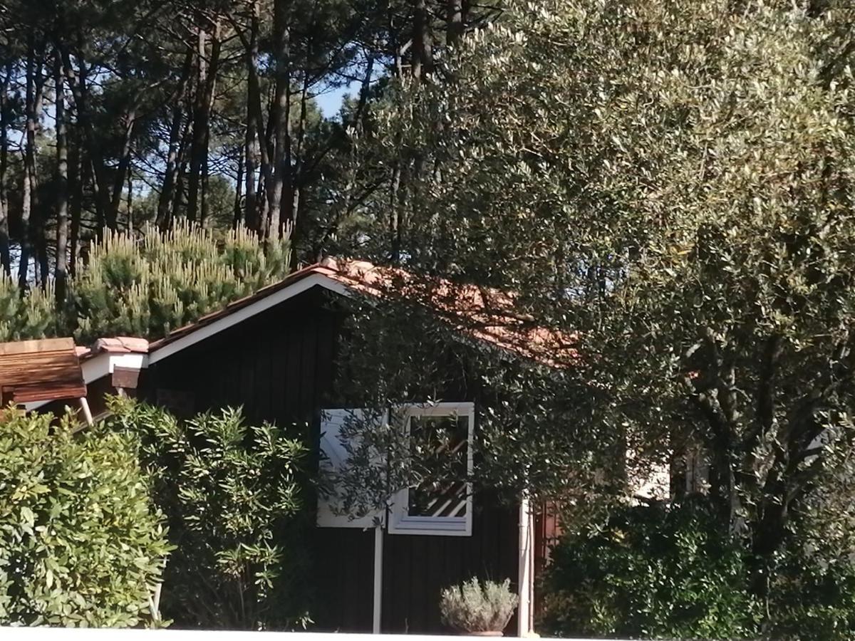 Maison Familiale En Bois Avec Piscine, Proche Du Bassin Гужан-Местрас Екстериор снимка