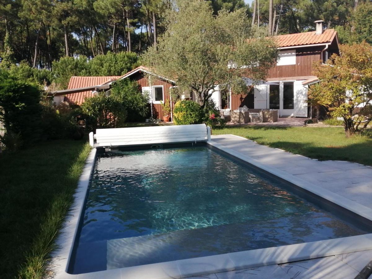 Maison Familiale En Bois Avec Piscine, Proche Du Bassin Гужан-Местрас Екстериор снимка
